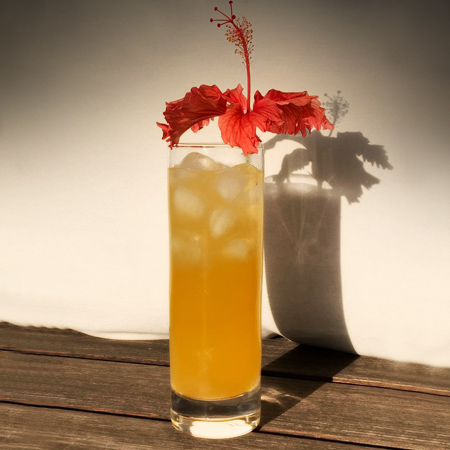 AlambiqueDonaFilo_drinks_Florida-Punch